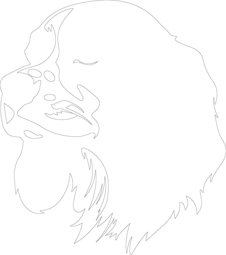 Cavalier King Charles Spaniel  outline silhouette vector
