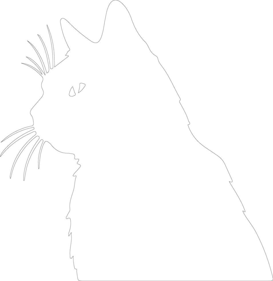 Chartreux Cat  outline silhouette vector