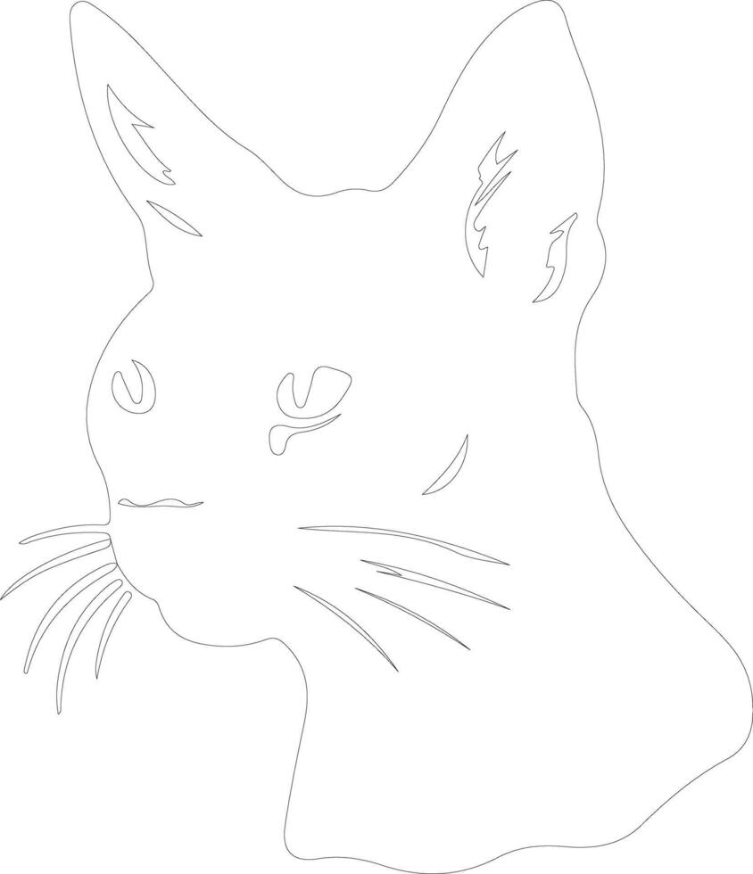 Chausie Cat outline silhouette vector