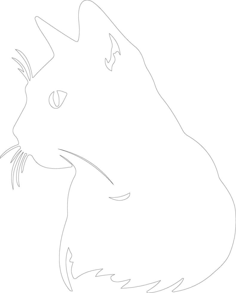 Chartreux Cat  outline silhouette vector