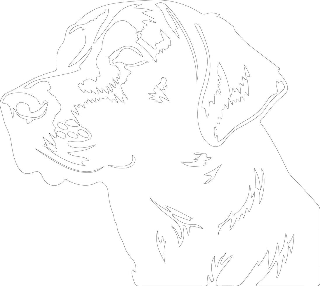 Chesapeake Bay Retriever  outline silhouette vector