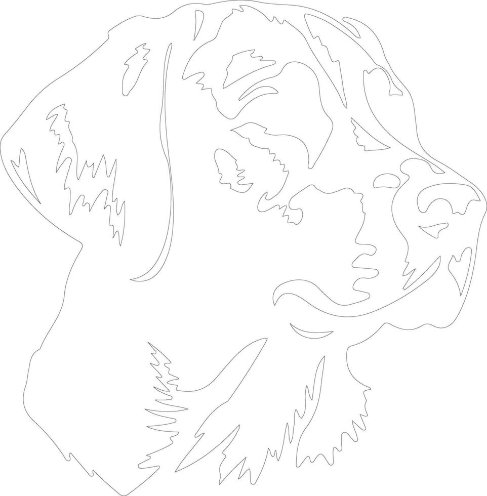 Chesapeake Bay Retriever  outline silhouette vector