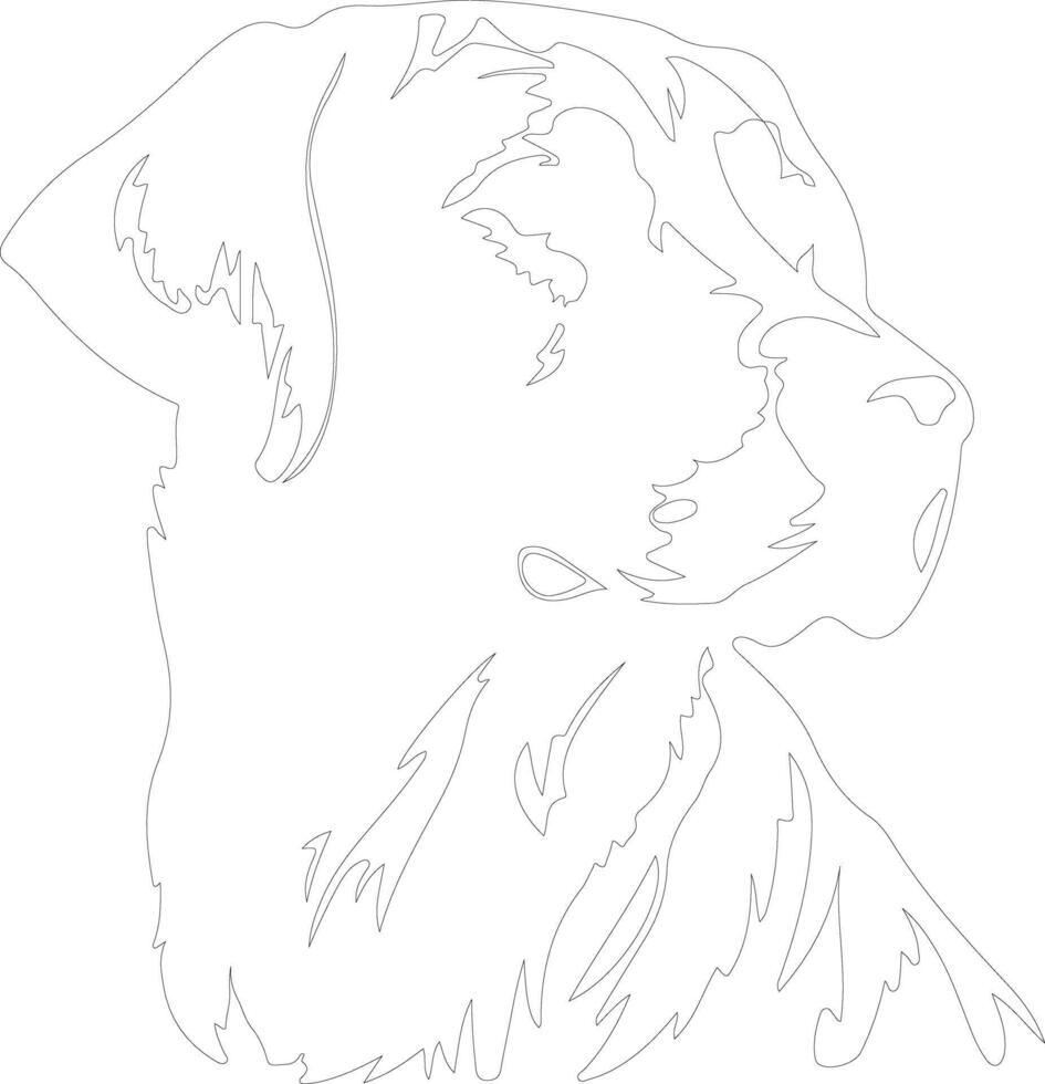 Chesapeake Bay Retriever  outline silhouette vector