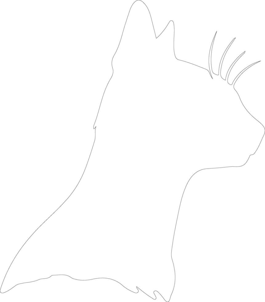 Cyprus Cat  outline silhouette vector