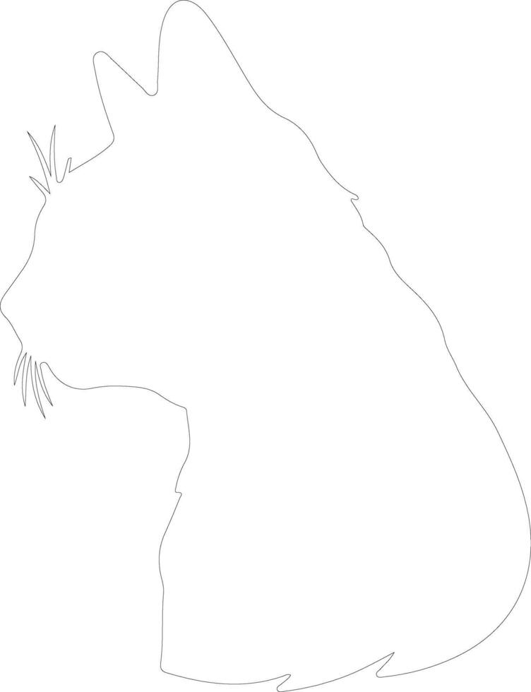 Bombay Cat  outline silhouette vector
