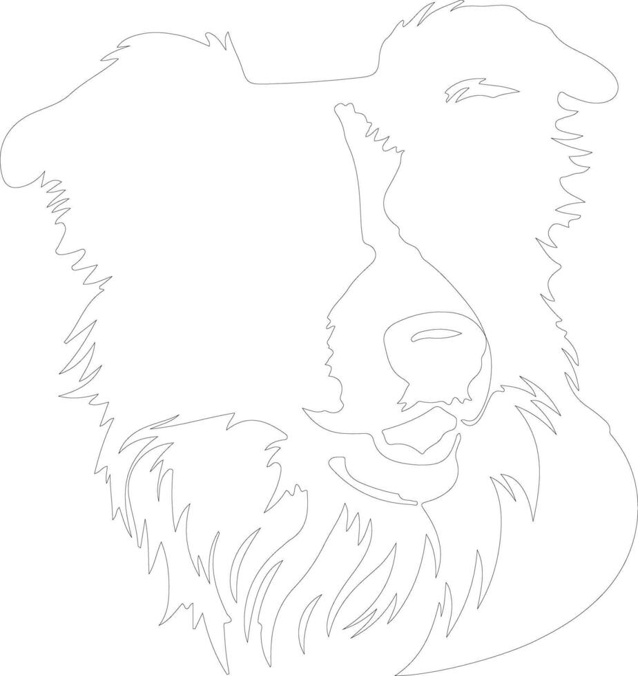 Border Collie  outline silhouette vector
