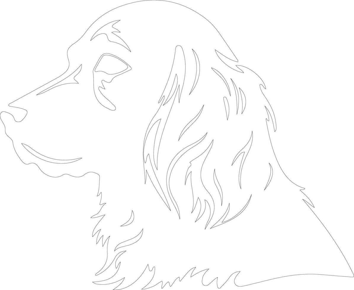 Boykin Spaniel  outline silhouette vector