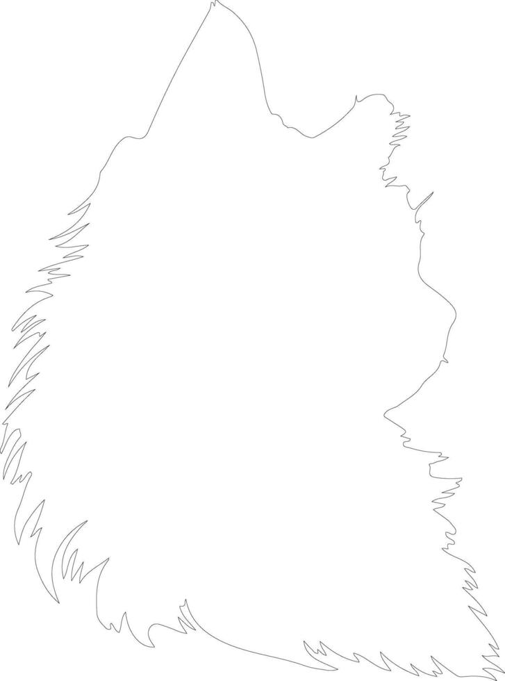 British Longhair Cat  outline silhouette vector