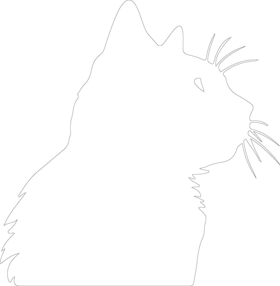 British Shorthair Cat  outline silhouette vector