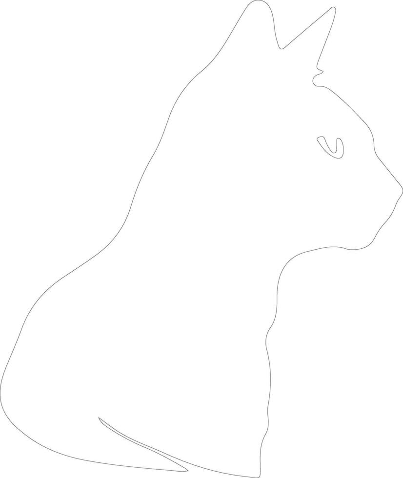 Burmilla Cat outline silhouette vector