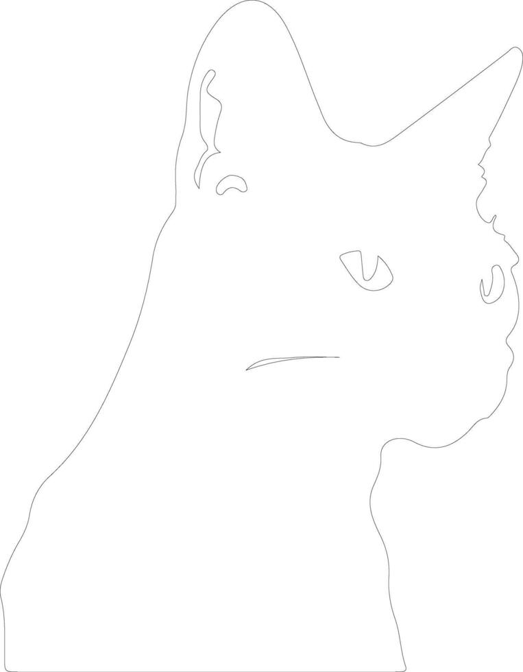 Burmilla Cat  outline silhouette vector