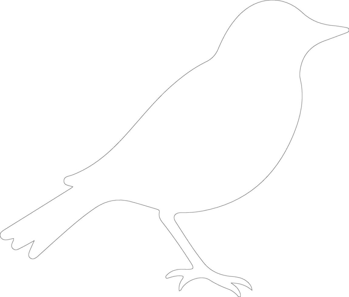 blackbird  outline silhouette vector