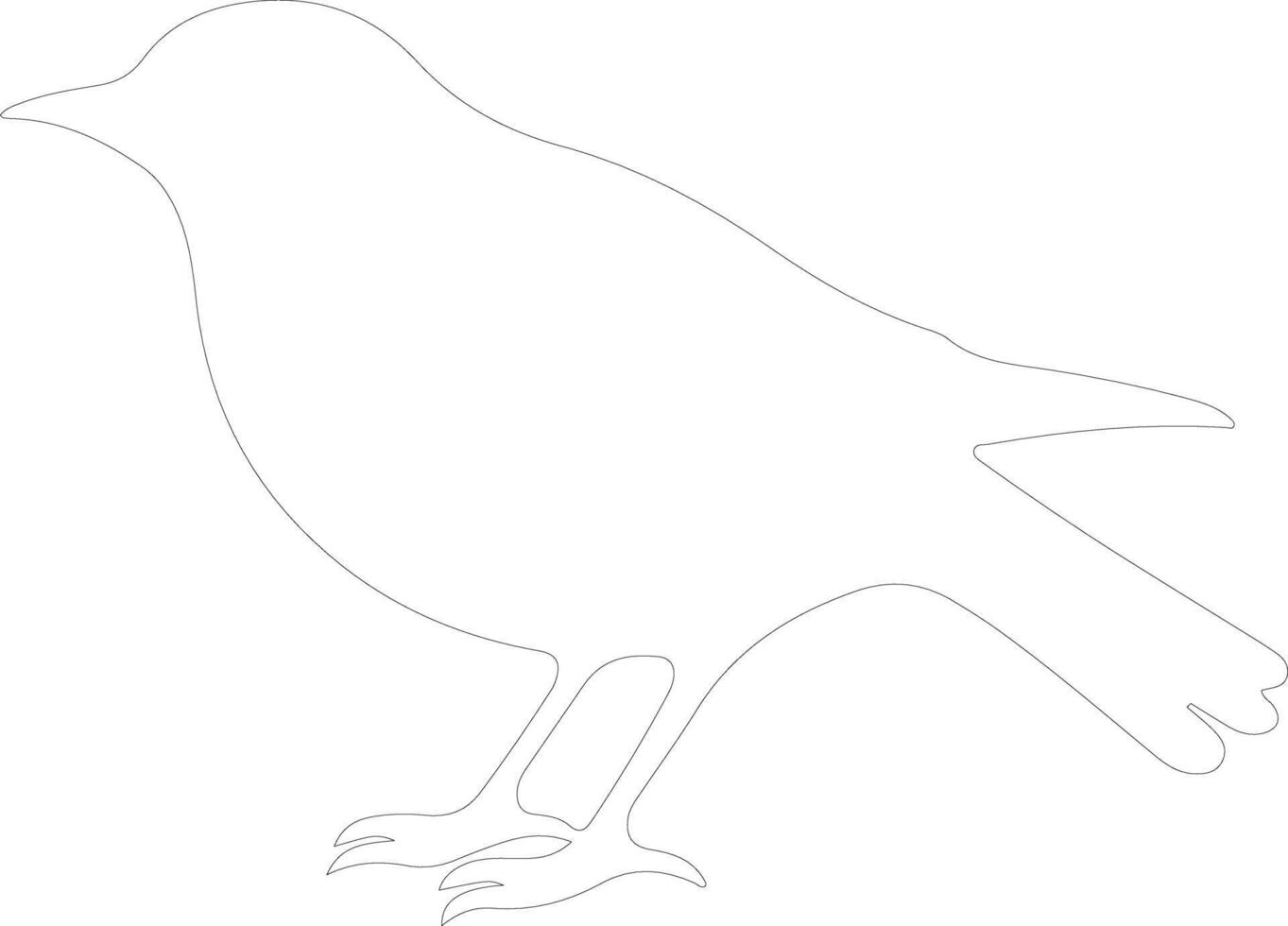 blackbird  outline silhouette vector