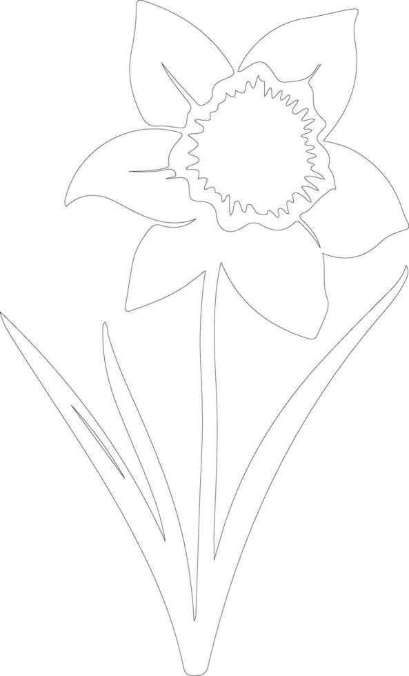 AI generated daffodil  outline silhouette vector