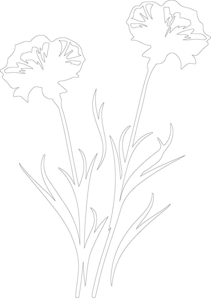 AI generated dianthus  outline silhouette vector