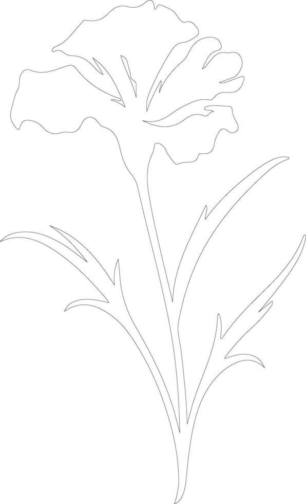 AI generated dianthus  outline silhouette vector