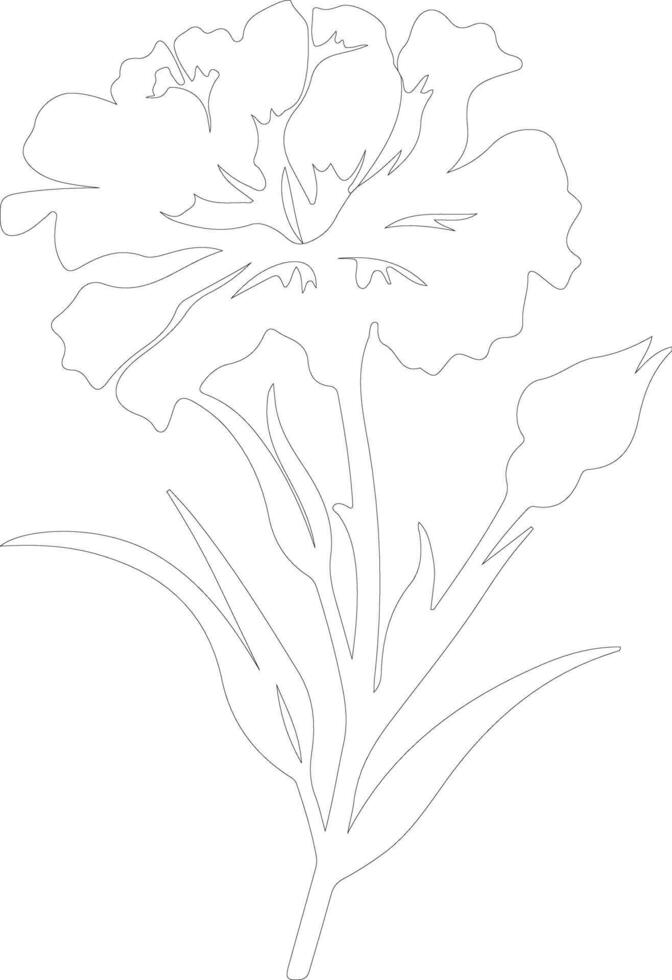 AI generated dianthus  outline silhouette vector