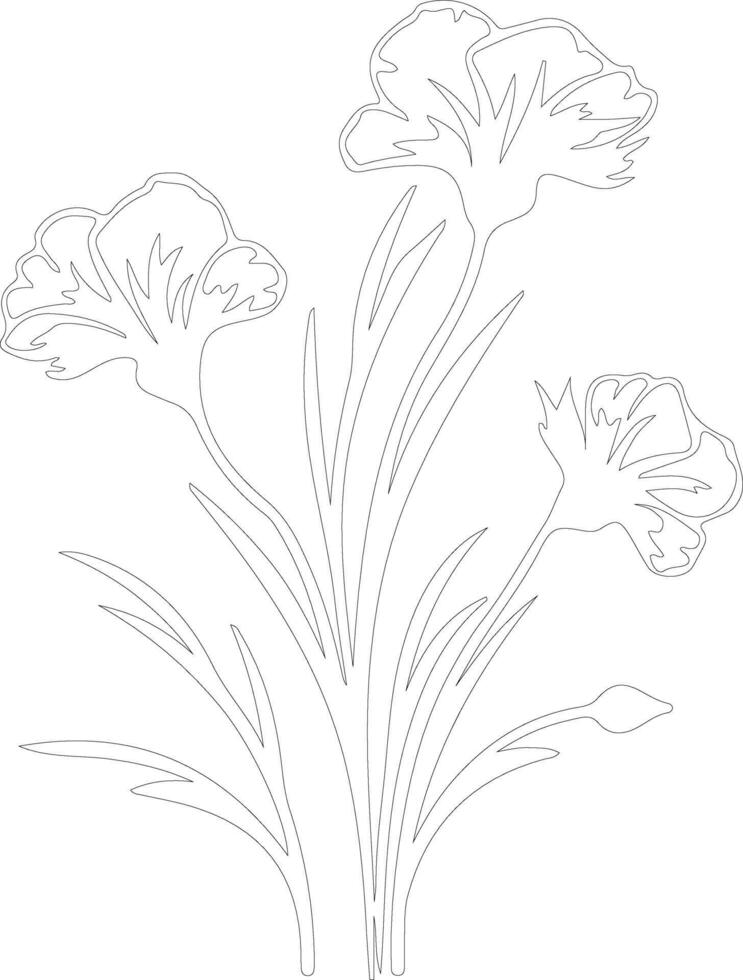 AI generated dianthus  outline silhouette vector