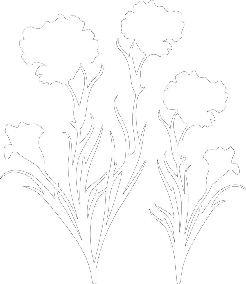 AI generated dianthus  outline silhouette vector