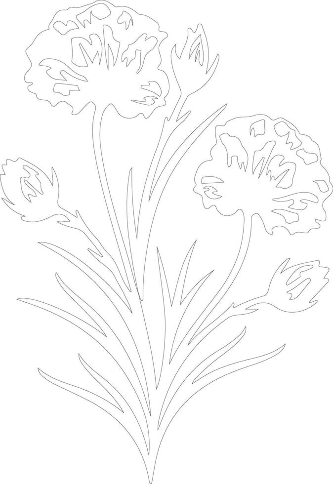 AI generated dianthus  outline silhouette vector