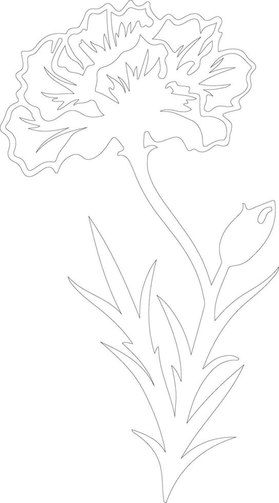 AI generated dianthus  outline silhouette vector