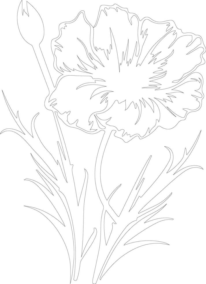 AI generated dianthus  outline silhouette vector