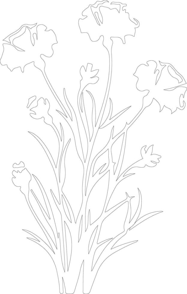 AI generated dianthus  outline silhouette vector