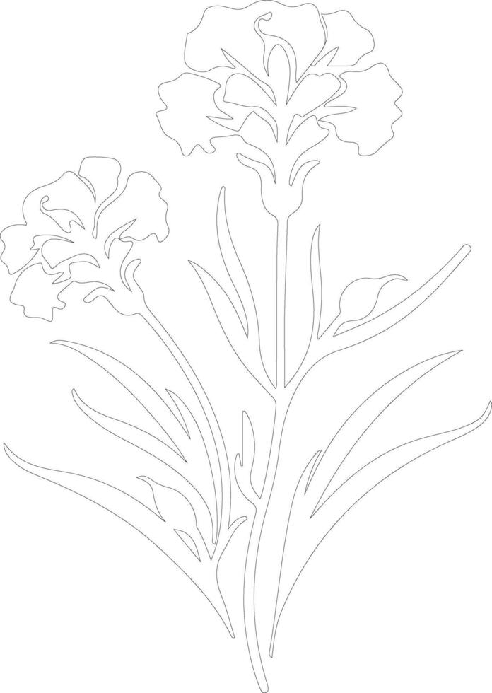 ai generado dianthus contorno silueta vector