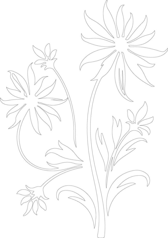 AI generated edelweiss  outline silhouette vector