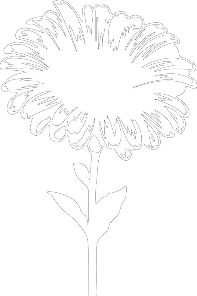 AI generated gerbera daisy  outline silhouette vector