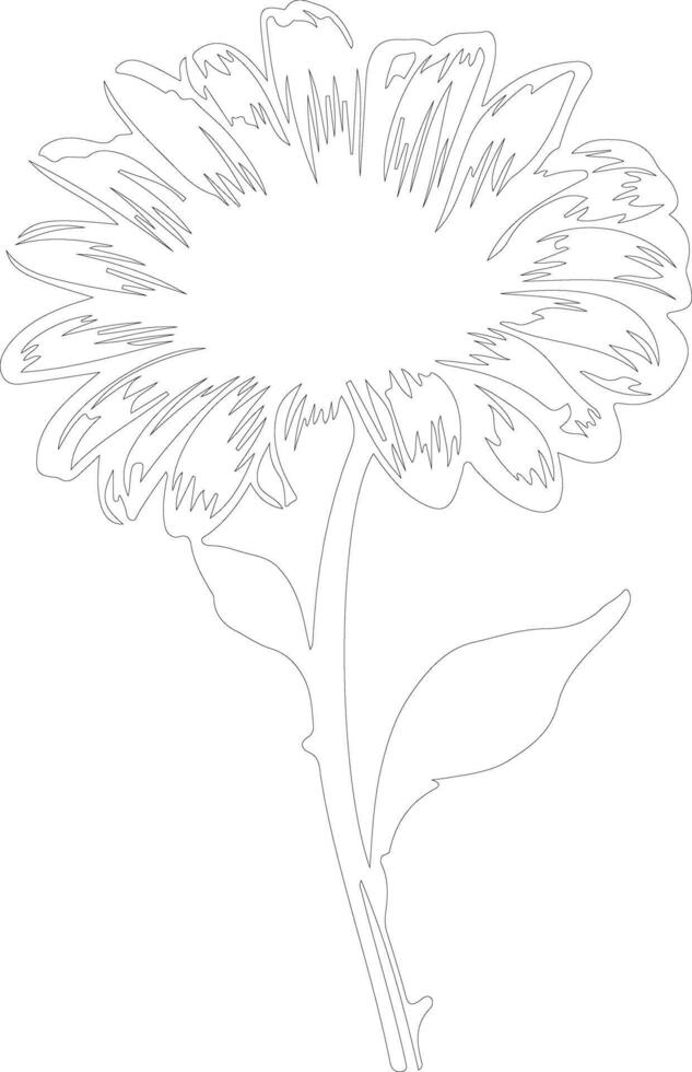 AI generated gerbera daisy  outline silhouette vector