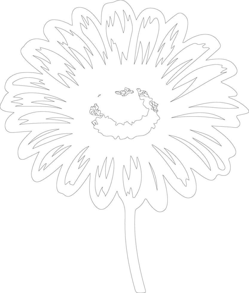 AI generated gerbera daisy  outline silhouette vector