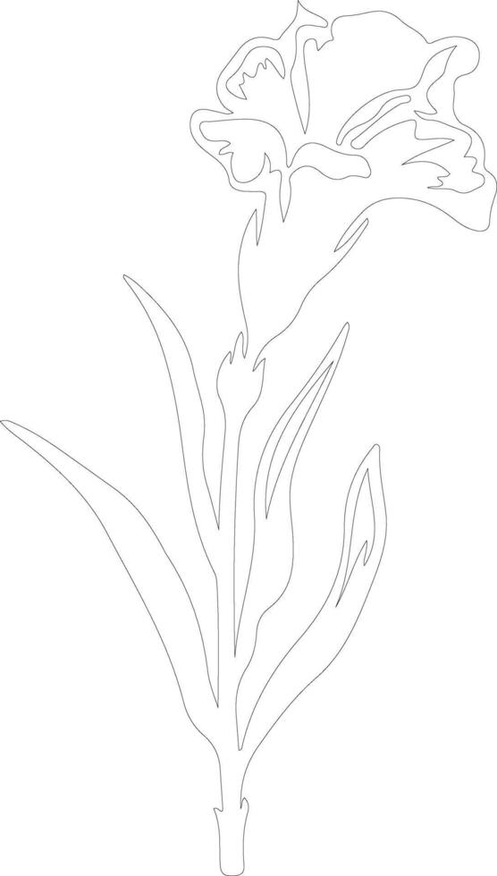AI generated gladiolus  outline silhouette vector