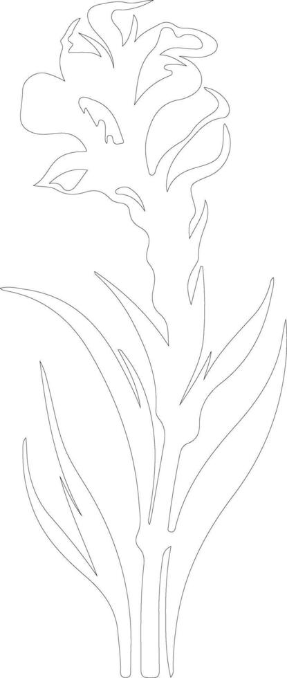 AI generated gladiolus  outline silhouette vector