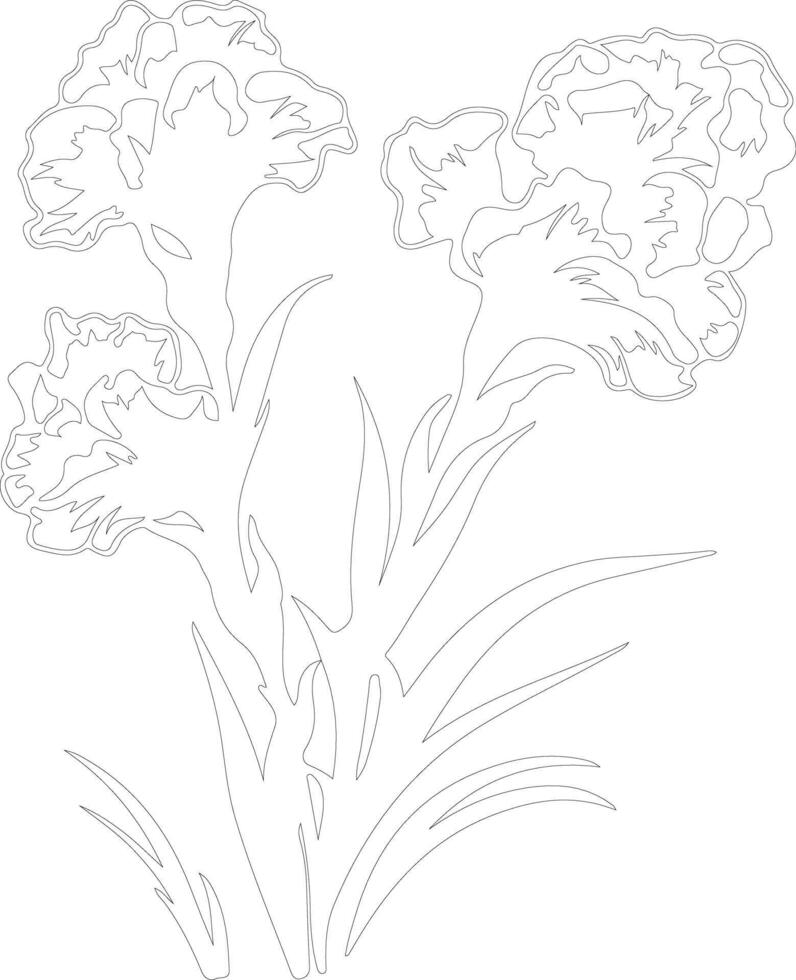 AI generated gladiolus  outline silhouette vector