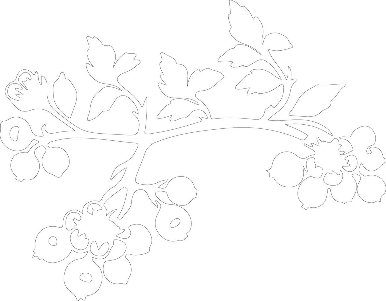 AI generated hawthorn  outline silhouette vector