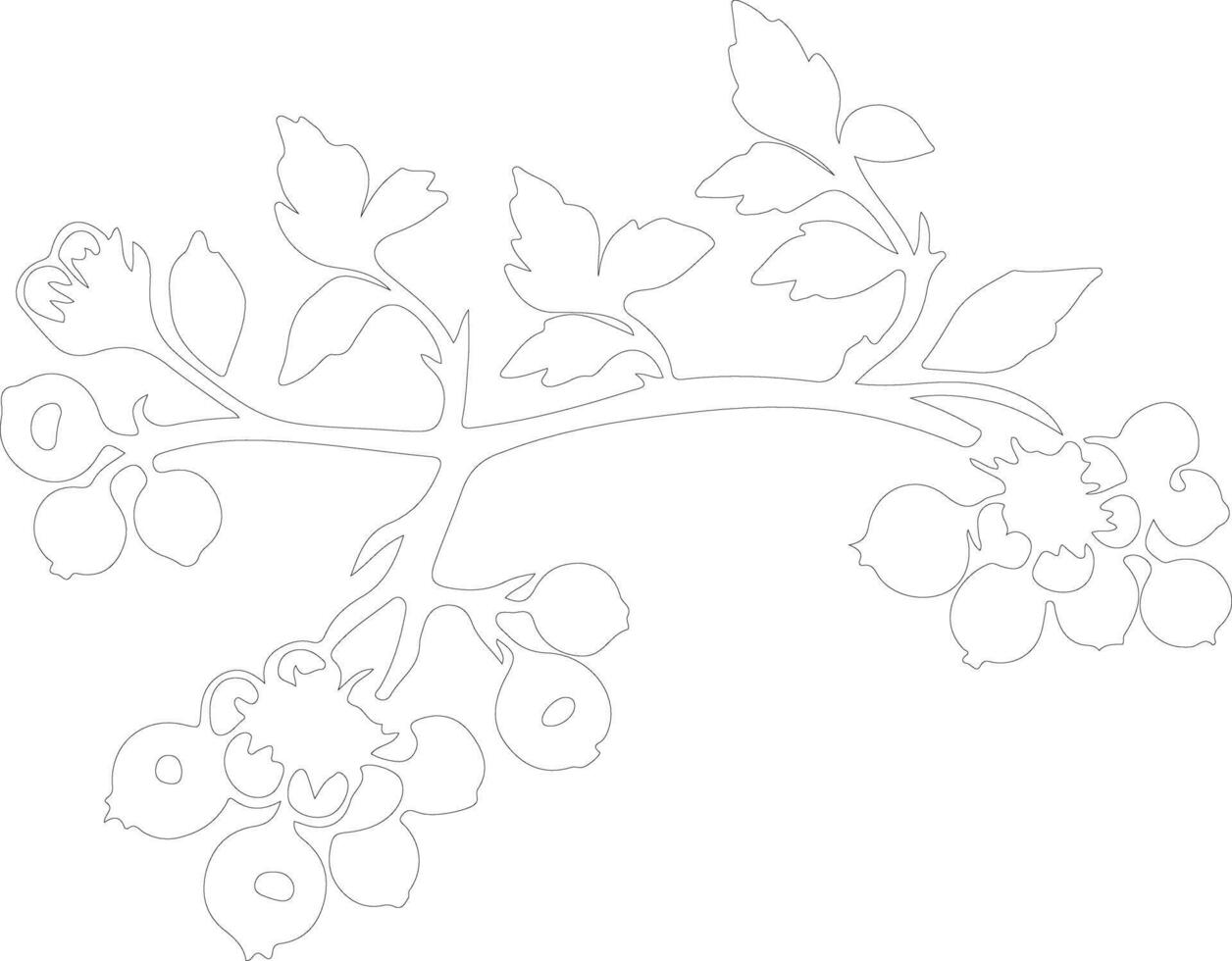 AI generated hawthorn  outline silhouette vector