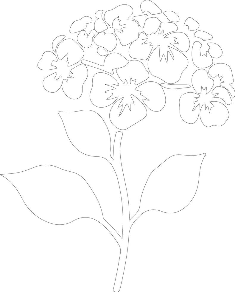 ai generado hortensia contorno silueta vector