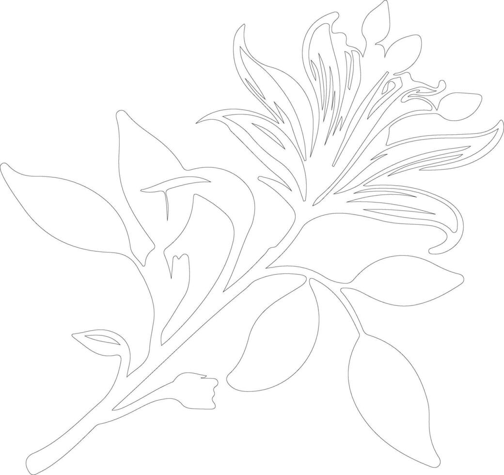 AI generated honeysuckle  outline silhouette vector