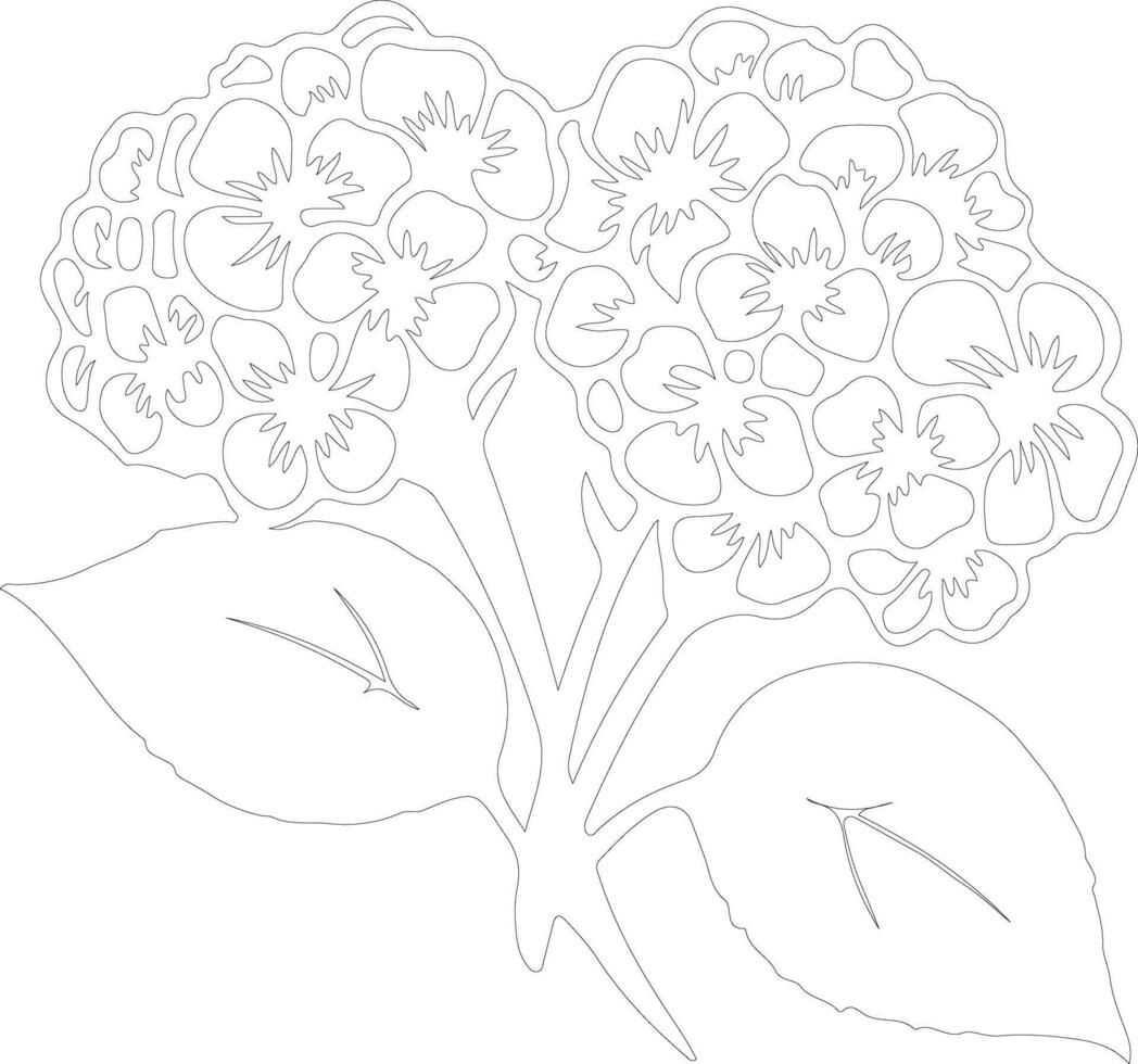 AI generated hydrangea  outline silhouette vector