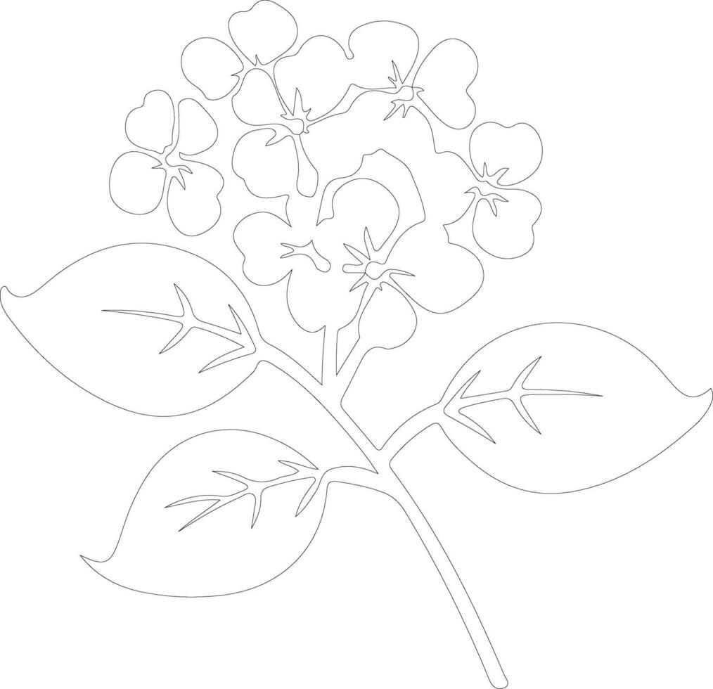 ai generado hortensia contorno silueta vector