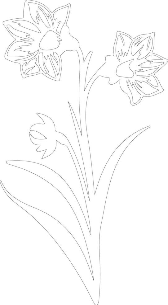 AI generated jonquil  outline silhouette vector