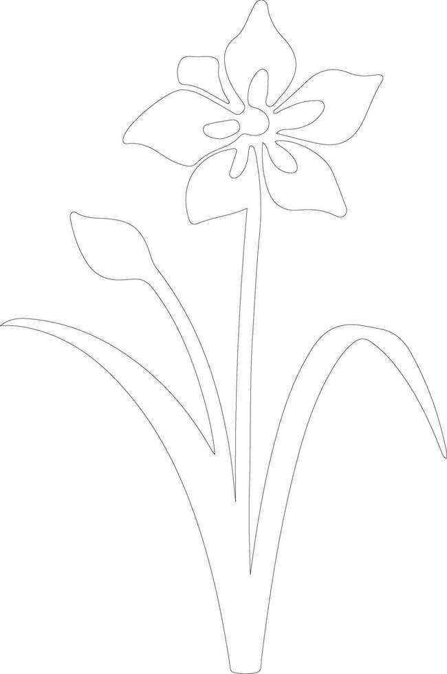 AI generated jonquil  outline silhouette vector