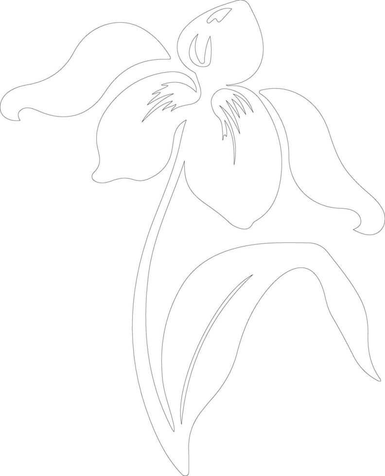 AI generated ladys slipper  outline silhouette vector