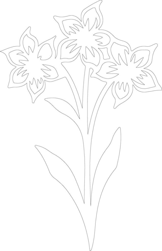 AI generated jonquil  outline silhouette vector