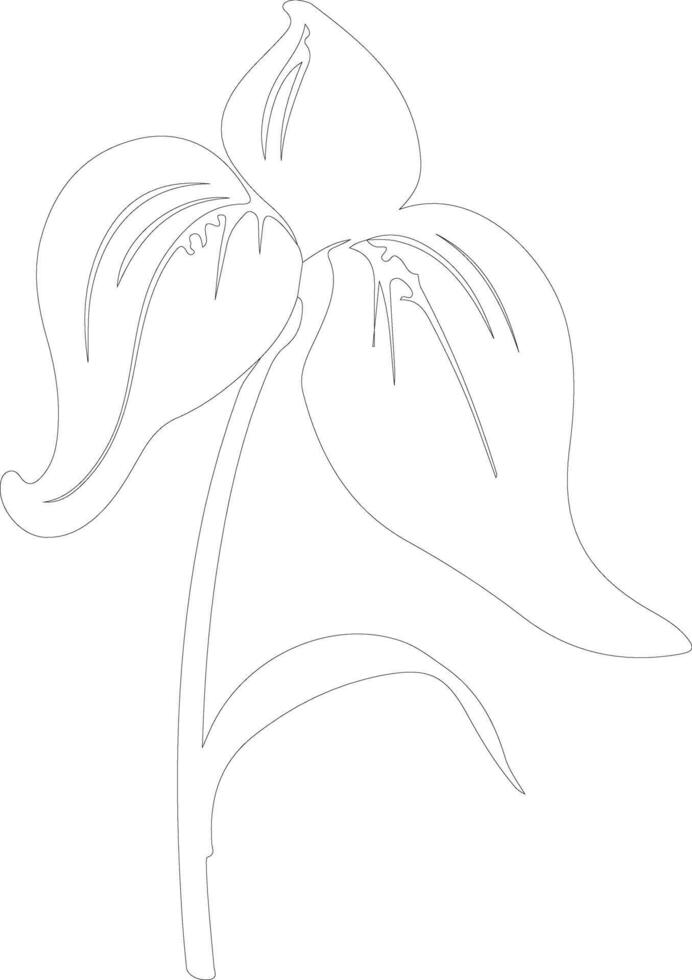 AI generated ladys slipper  outline silhouette vector