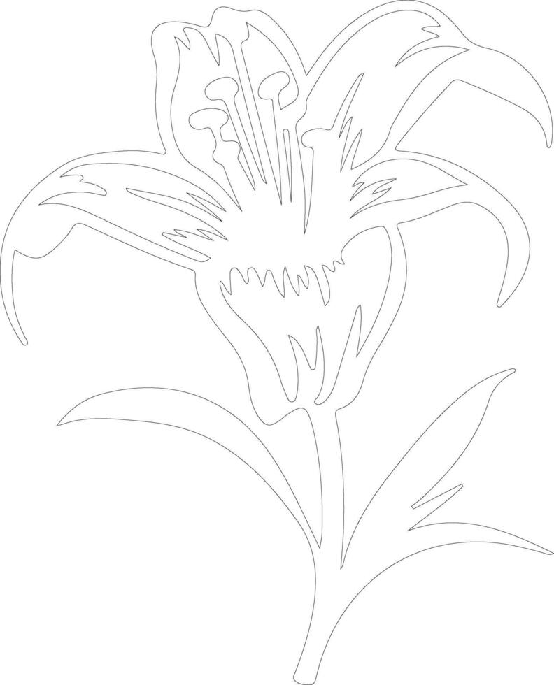 AI generated lily  outline silhouette vector