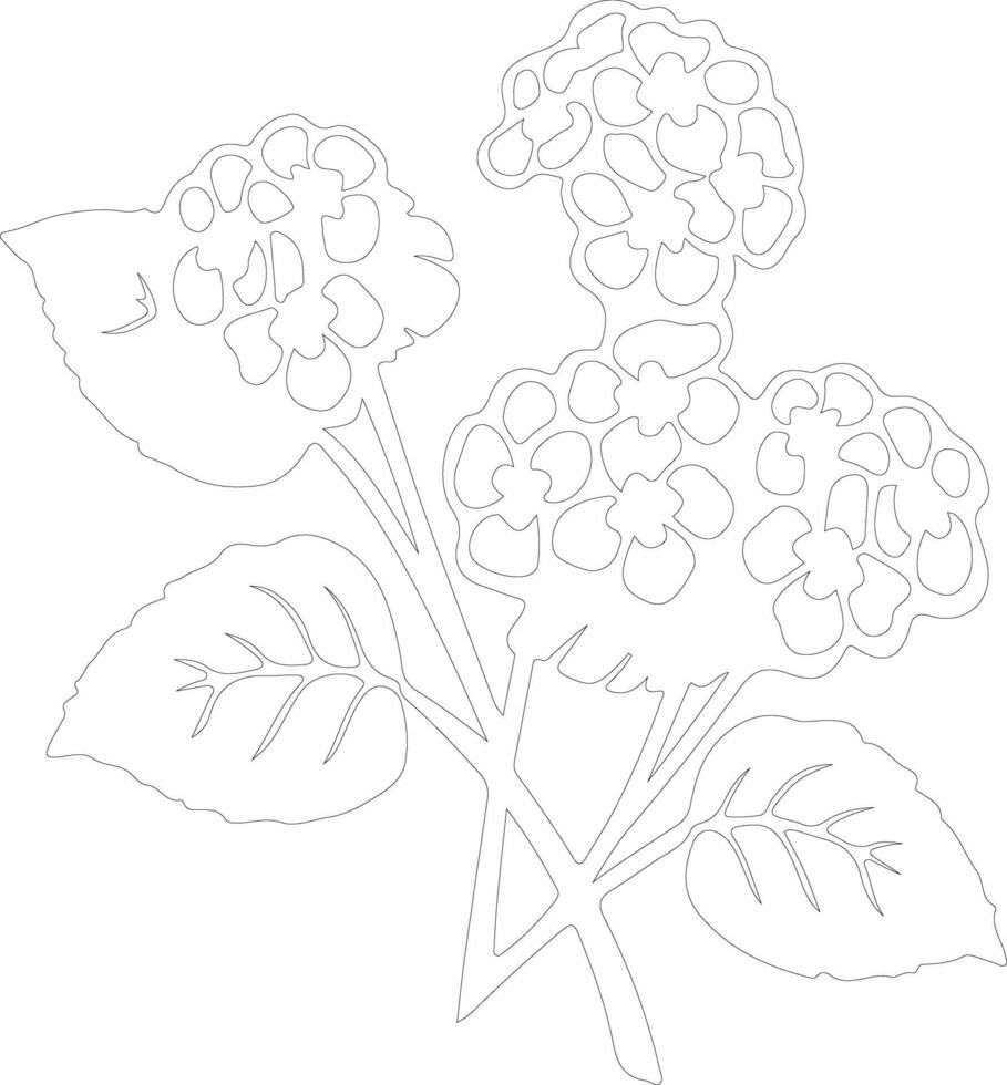 AI generated lantana  outline silhouette vector