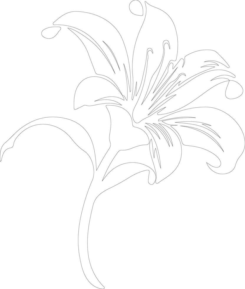 AI generated lily  outline silhouette vector