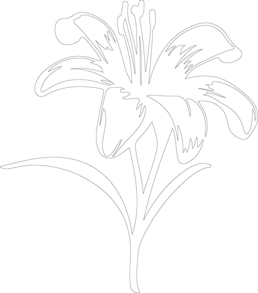 AI generated lily outline silhouette vector